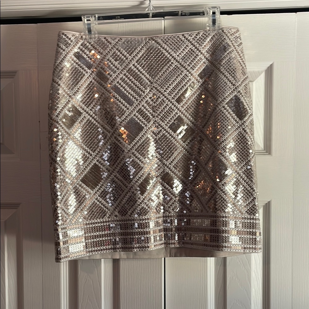 Elegant Sequin Skirt - Silver